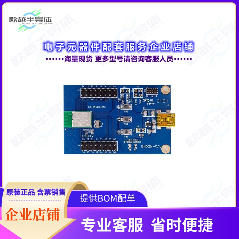 开发套件BN-810Q2-01A-PB[DEV KIT FOR MN-810Q2-P00 SMD]