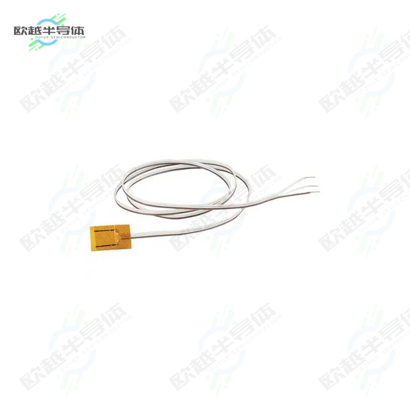 SRTD-2[传感器RTD SURFACE SENSOR,  RESPONS]