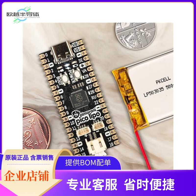 PIM560【PIMORONI PICO LIPO 16MB】开发板套件编程器