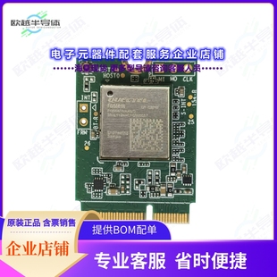 开发套件RG255CGL00AB-4M2-TA0AA[RG255C-GL-TE-A]