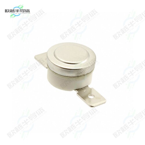 2450RC 00040250[传感器THERMOSTAT 199DEG C NC MODULE QC]