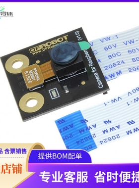 SEN0173【CAMERA FOR RASPBERRY PI】开发板 套件 编程器