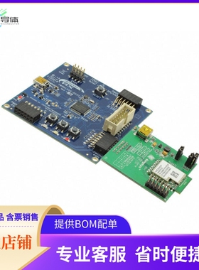 YWIRELESS-RX111【RX111 EVAL BRD】开发板 套件 编程器