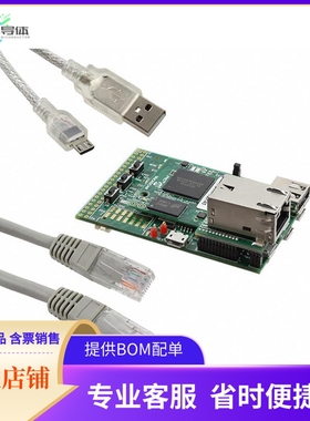 DM320008-C【PIC32MZ GRAPHICS EVAL BRD】开发板 套件 编程器