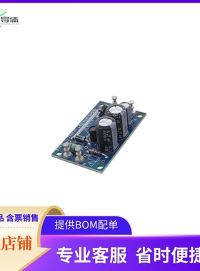 RTKA223012DR0020BU【UNIVERSAL AC INPUT RAA223012 BUC】开发