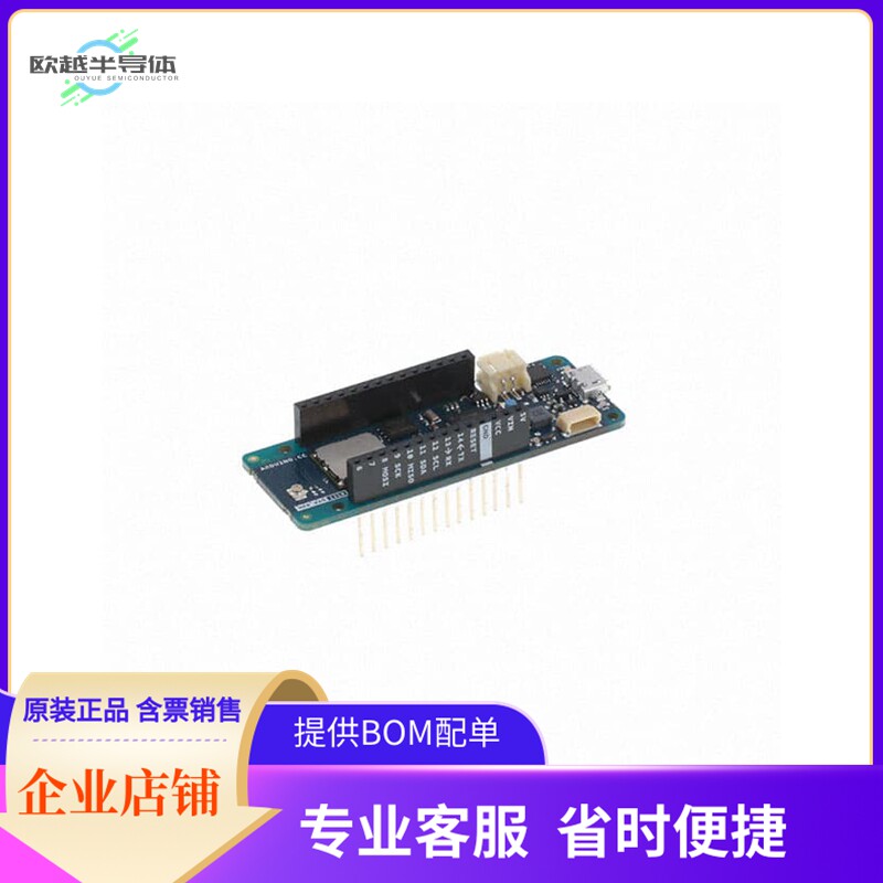 ABX00029【MKR WAN 1310 W/O ANTENNA】开发板 套件 编程器 - 实物图