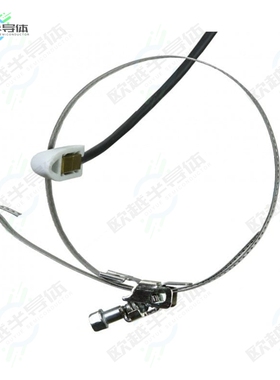 SN183M[传感器PTS350A-10/M, TEMP PROBE 10 M]