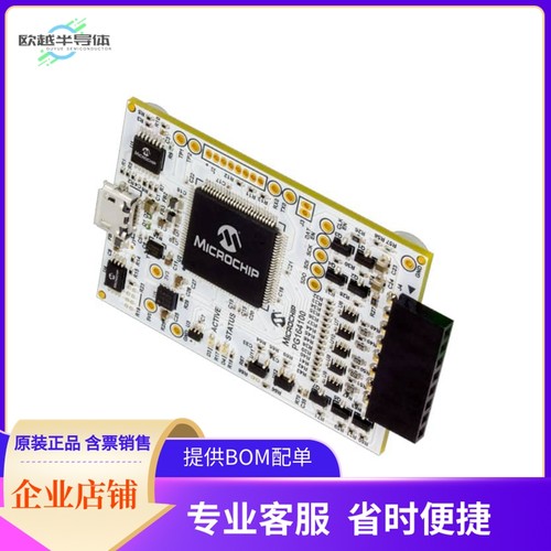 PG164100【MPLAB SNAP DEBUGGER】开发板 套件 编程器