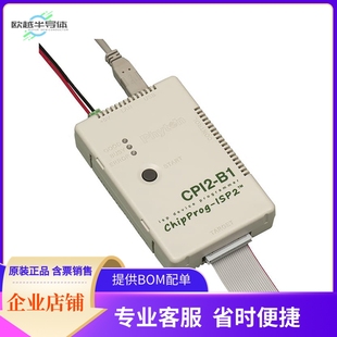 ISP BASIC 套件 编程器 开发板 REU DEVICES CPI2 RENESAS