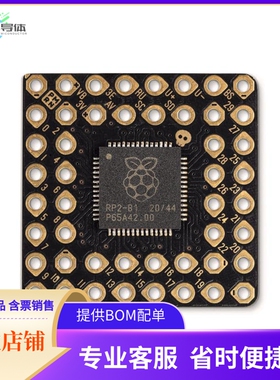 PIM577【PGA2040 COMPACT RP2040 BREAKOUT】开发板 套件 编程器