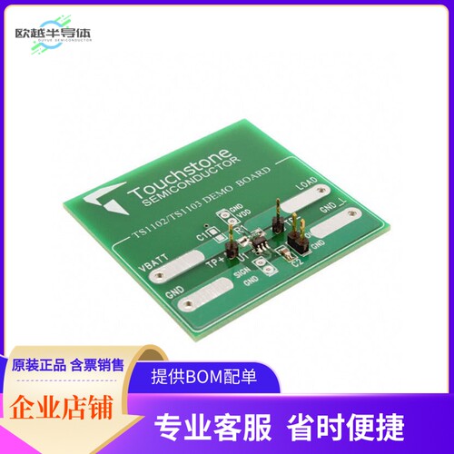 TS1102-50DB【BOARD DEMO TS1102-50】开发板 套件 编程器