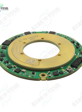 RAIK060I11318FB717[传感器ENC ABSLT SPI USR SEL CONN]