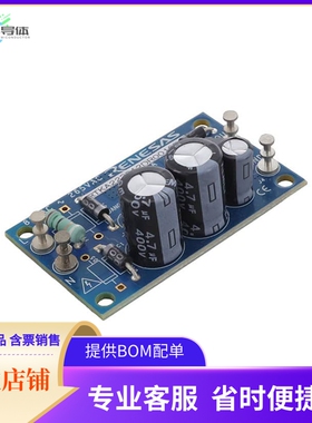 RTKA223012DR0010BU【UNIVERSAL AC INPUT RAA223012 BUC】开发