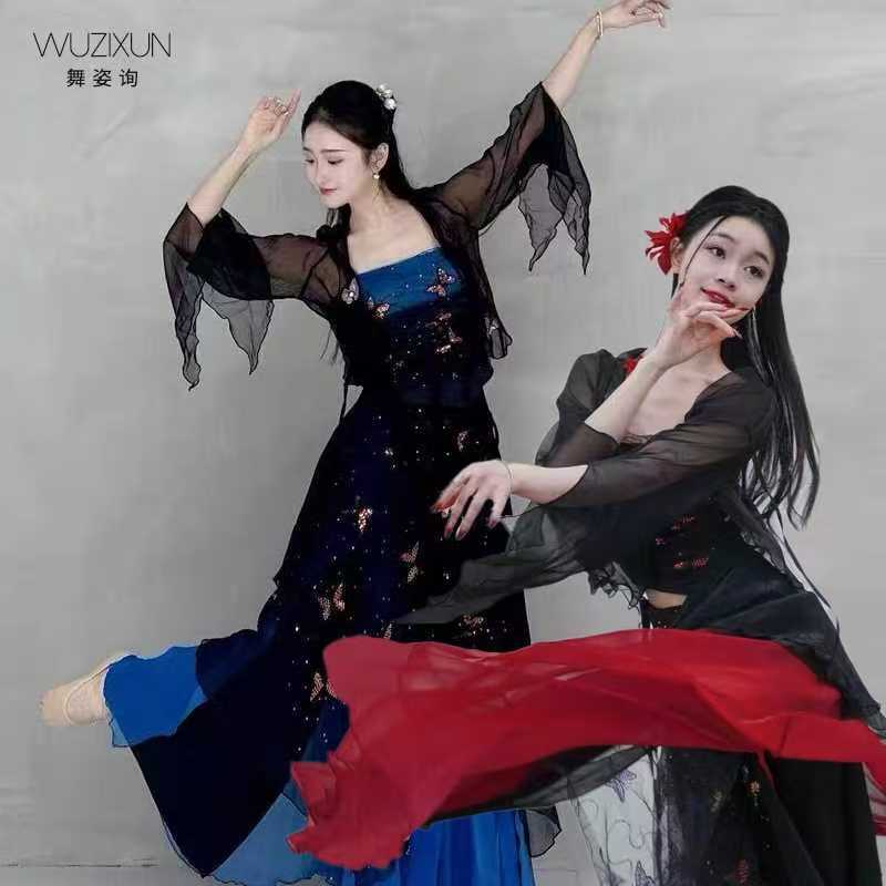 古典舞服裝超仙身韻飄逸紗衣女舞蹈演出服蝴蝶元素仙舞臺(tái)裝練功服