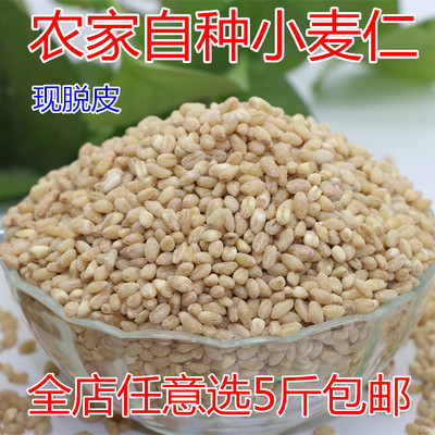 小麦 小麦仁去皮小麦仁小麦子脱壳小麦仁250g 五谷杂粮粥原料包邮