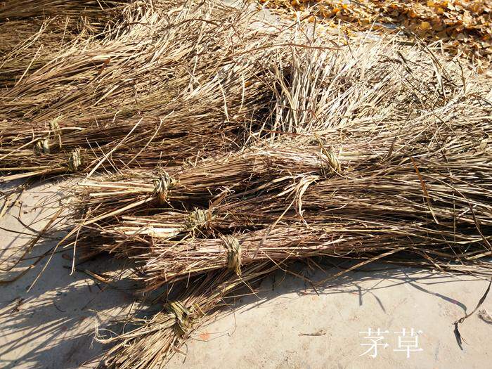 1份1束茅草 长枯草陈列摆设 杂草 1米以上长枯草毛草