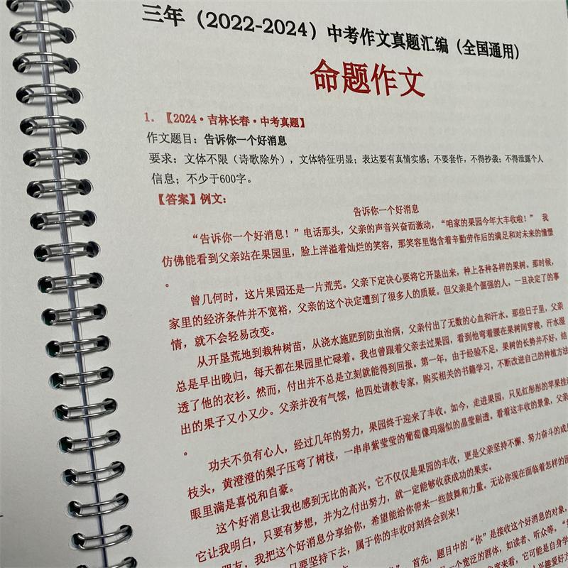 2025新版中考满分作文