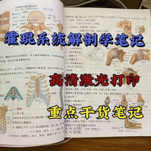 升级版霍琨系统解剖学笔记本高清彩图重点知识点梳理学霸整理
