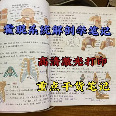 霍琨系统解剖学笔记本