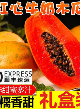 海南热带冰糖红心牛奶木瓜新鲜孕妇树上熟现摘下奶应当季顺丰礼盒