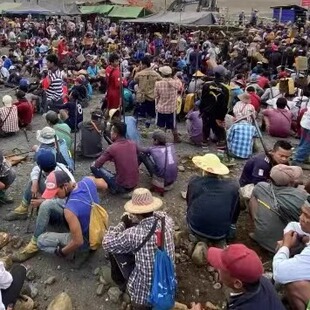 直播间展示付款链接