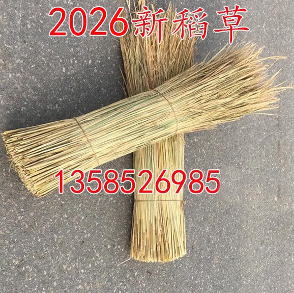 挑选天然整稻草干稻草适合装修装饰手工编织品用 干净整齐