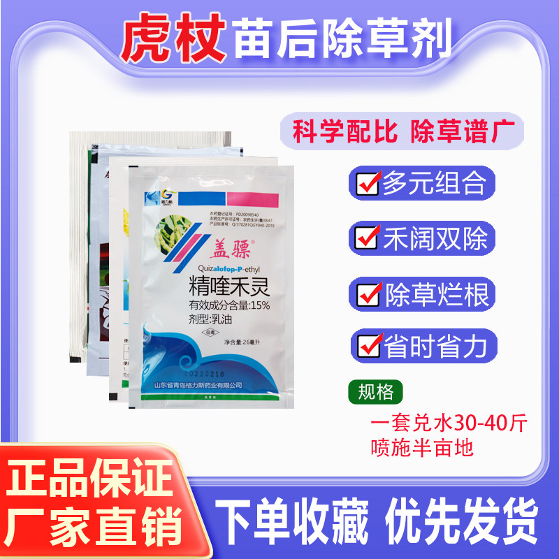 虎杖除草剂 虎杖苗后专用除草剂除草剂