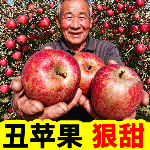 云南昭通邵丑苹果冰糖心野生红富士当季应绍正宗2026水果时令新鲜