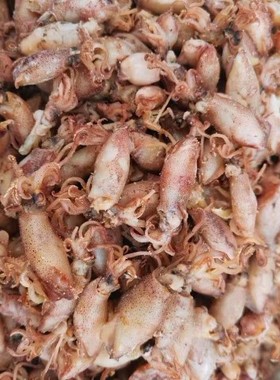 新货小海兔干货500克特级海兔子小鱿鱼墨鱼仔籽乌乌贼干笔管鱼干