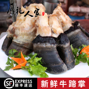 新鲜黄牛蹄子生牛蹄黄牛蹄牛掌牛脚蹄新鲜牛蹄黄牛蹄牛蹄新鲜