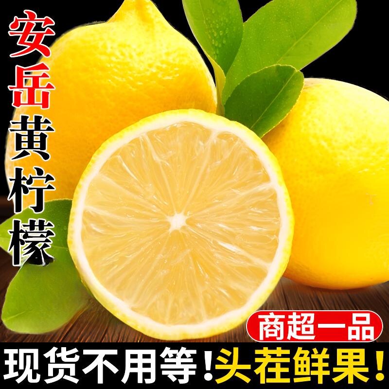 四川安岳多汁黄柠檬果园一二级各型号新鲜水果柠檬水坏果包赔