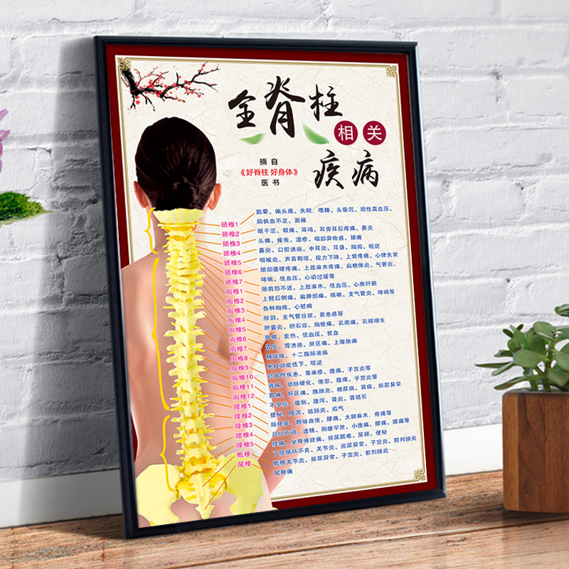 全脊柱相关疾病示意图人体经络穴位挂图中医养生脊椎结构图墙贴画