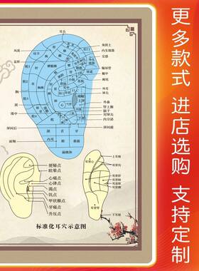 人体耳朵穴位图海报标准耳穴示意图挂图耳部耳针图片墙贴海报广告