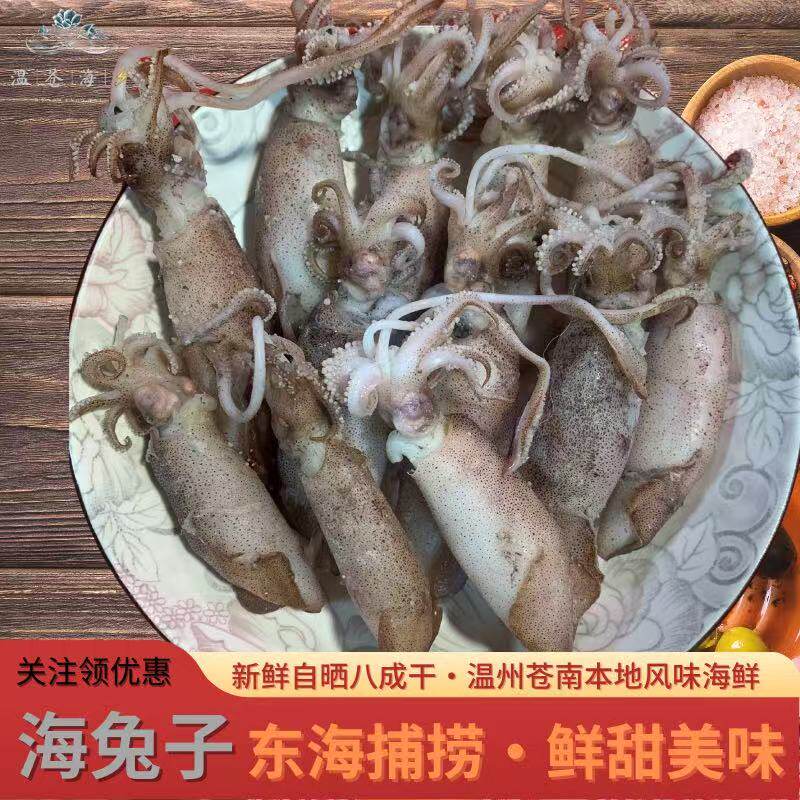 温州苍南海鲜特产小海兔干海鲜干货小墨鱼仔籽乌贼干鱿鱼干笔管鱼