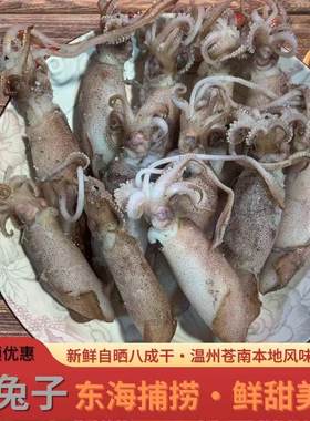 温州苍南海鲜特产小海兔干