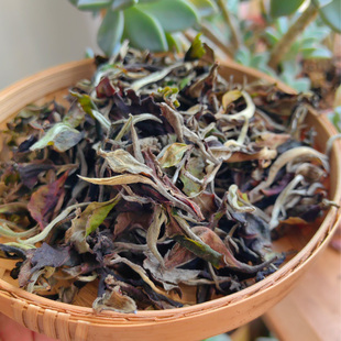 2025章家三队春白头采100克普洱茶白茶云南白茶班章白布朗台地王