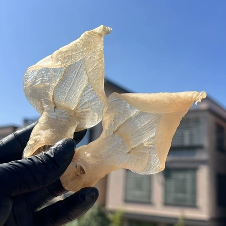本港白花胶 溪沃 纯生晒活鱼鱼胶   溪沃 花胶 孕妇滋补自晒