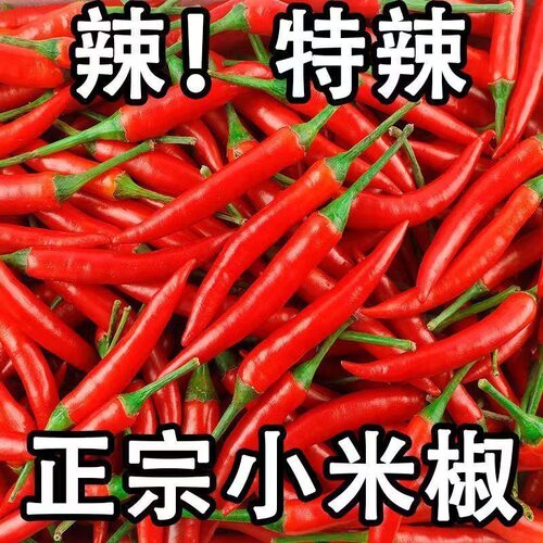 小米辣椒现摘朝天椒小米椒新鲜可剁泡椒特辣红辣椒农家蔬菜指天椒