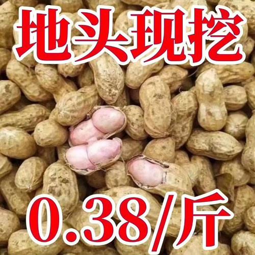 26年新货新鲜现挖带壳花生鲜嫩粉皮湿花生带泥花生可水煮农家自种