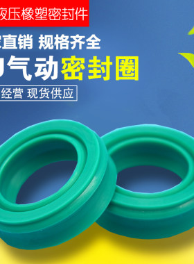 进口气缸两用聚氨酯密封圈