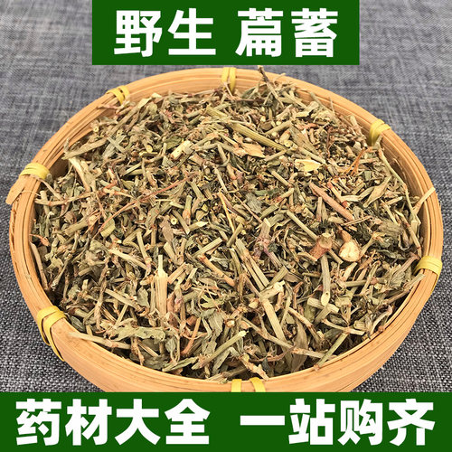 广西野生萹蓄草中药材正品便须草地扁蓄牛鞭草牛筋草新鲜萹蔓萹竹