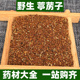 野生葶苈子中药材正品 葶苈籽丁历子葶力子非特级中草药材250g500g