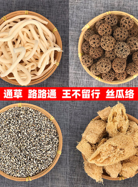 通草中药材路路通炒王不留行籽丝瓜络组合哺乳期下汤茶通草片奶