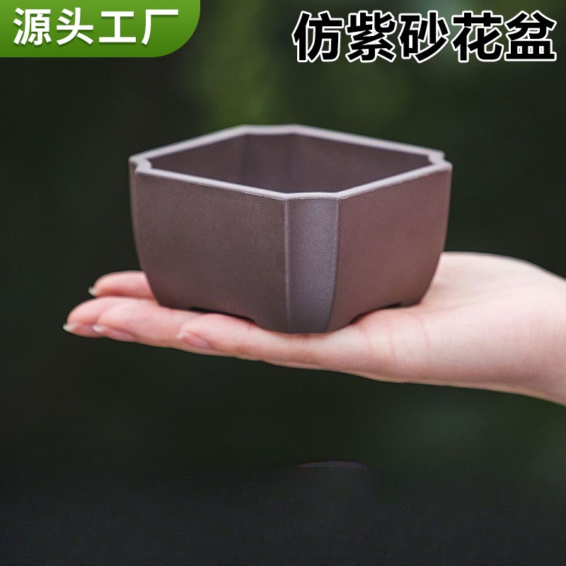 多肉花盆简约小兰植物盆栽四方仿