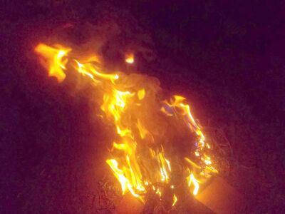 代供准提火供共修护摩木莲花茎五谷三白三甜药材等