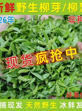 2026年柳芽蔬菜焯水冷冻柳树芽凉拌柳芽菜现货柳尖柳絮柳构菜包邮
