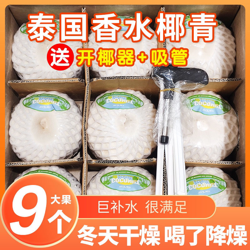 泰国进口椰青9粒装超大果单果900g以上新鲜水果整箱包邮香水椰子