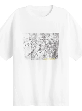 始祖鸟Kragg Cotton Lithographica T-Shirt纯棉男士T恤鸟logo