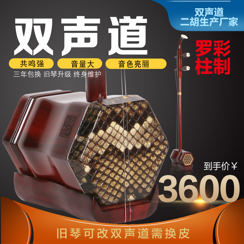 双声道独奏二胡 紫檀二胡演奏乐器手工鞔皮音量大罗彩柱厂家直销