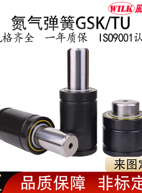 氮气气弹簧冲压弹簧TU250/500/750/1500-25 GSK模具弹簧氮气簧
